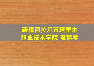 新疆阿拉尔市塔里木职业技术学院 电钢琴